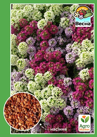 Алиссум смесь ТМ "Весна"  0.1г