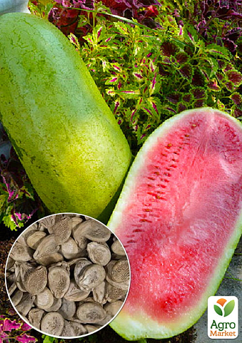 На развес Арбуз "Мраморный" ТМ "Весна" цена за 6г