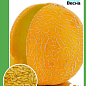 Дыня "Ранняя 133" ТМ "Весна" 1.5г