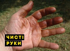 Чим і як відмити горіх з рук - корисні статті про садівництво від Agro-Market