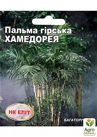 Пальма  горная "Хамедорея" ТМ "НК ЭЛИТ" 5шт