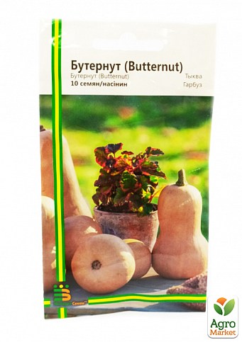 Гарбуз "Бутернут" ТМ "Імперія насіння" 10шт