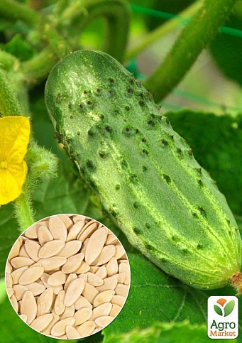 На вагу Огірок "Монастирський" ТМ "Весна" ціна за 5г