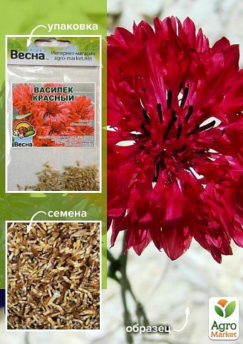 Василек "Красный" (Зипер) ТМ "Весна" 0,5г