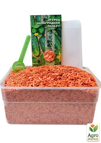 На вагу Огірок "Виноградне гроно F1" ТМ "Весна" ціна за 2г - фото 6