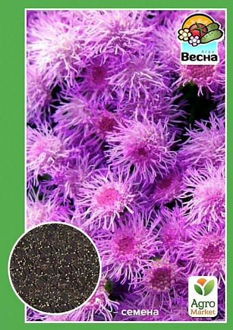 Агератум розовый ТМ "Весна" 0.2г