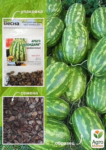 Арбуз "Клондайк" (Зипер) ТМ "Весна" 4г