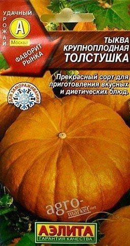 Тыква "Толстушка" ТМ "АЭЛИТА" 1г