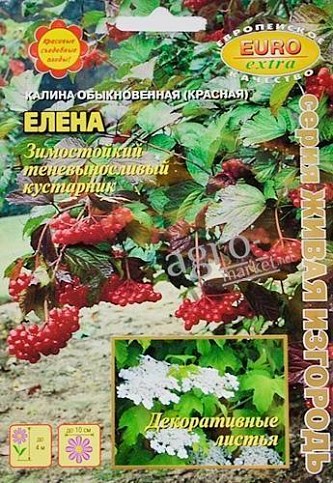 Калина обыкновенная "Елена" ТМ "Аэлита"