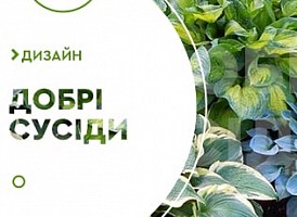 Сусіди для хост: кого вибрати - корисні статті про садівництво від Agro-Market