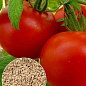 На развес Томат "Загадка" ТМ "Весна" цена за 1г