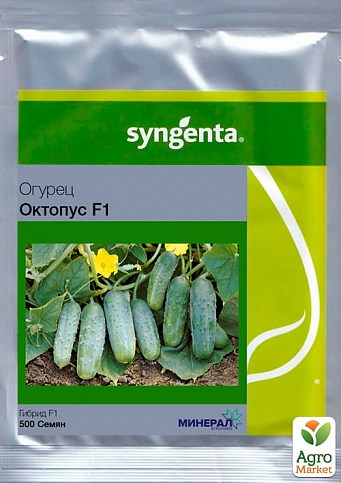 Огірок "Октопус F1" ТМ "Syngenta" 500шт