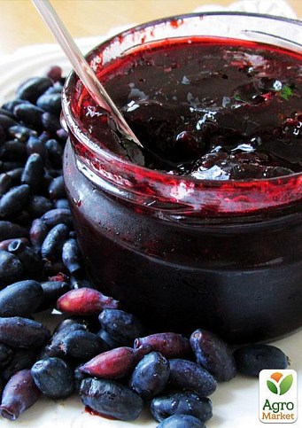 Жимолость "Синяя птица" (ранний срок созревания, устойчивый к осыпанию сорт) - фото 2