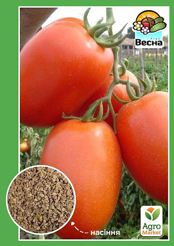 Томат "Новичок" ТМ "Весна" 0.2г