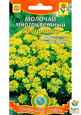 Молочай багатобарвний "Сонечко" ТМ "Плазмові насіння" 10шт NEW