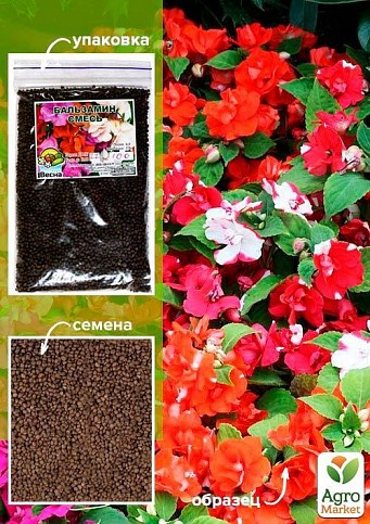 Бальзамін "Суміш" ТМ "Весна" 100г