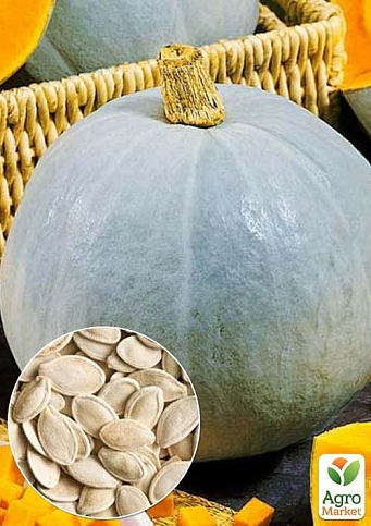 На развес Тыква "Грибовская зимняя" ТМ "Весна" цена за 10г