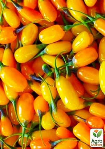 Годжи желтый "Голден Берри"(Golden Berry)