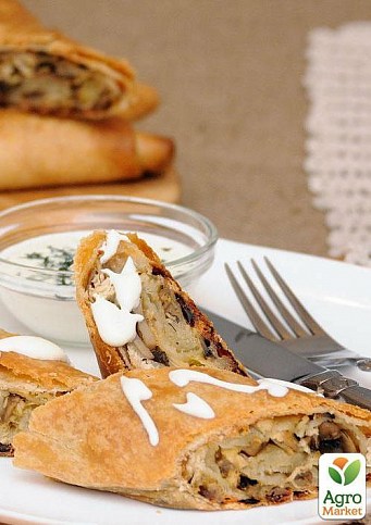 Сухой зерновой мицелий "Польский гриб" 10г - фото 2