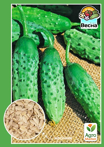 Огірок "Фенікс плюс" ТМ "Весна" 0.5г