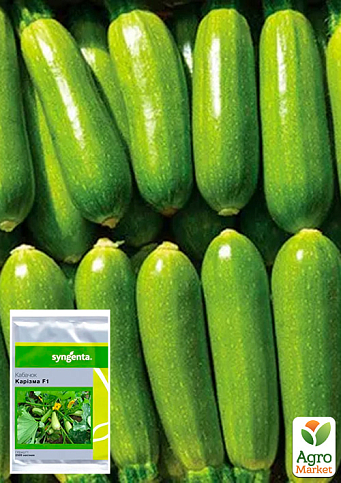 Кабачок "Карізма F1" ТМ "Syngenta" 2500шт
