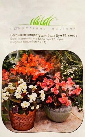 Бегония вечноцветущая "Бада бум F1"смесь ТМ "HEM Zaden"