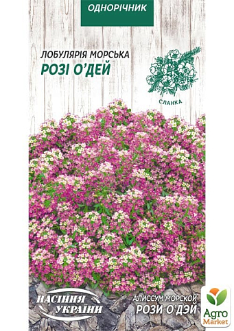 Аліссум (Лобулярія) "Рози Одей" ТМ "Насіння України" 0.1г