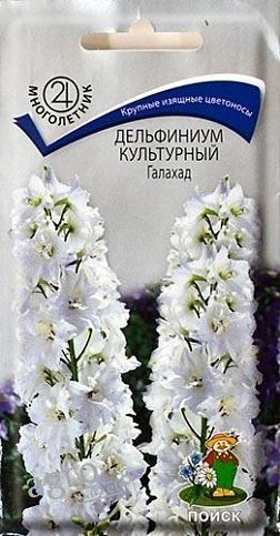 Дельфініум культурний "Галахард" ТМ "Пошук" 0.1г