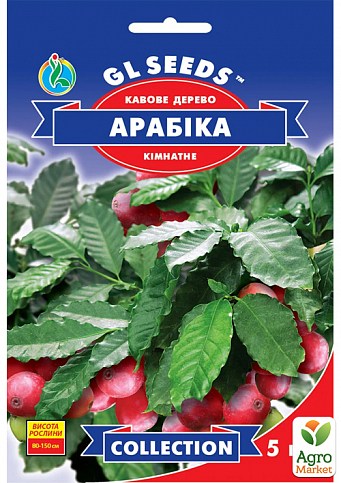 Кофейное дерево комнатное "Арабика" ТМ "GL SEEDS" 5шт