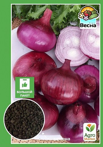Лук "Веселка" (Большой пакет) ТМ "Весна" 2г