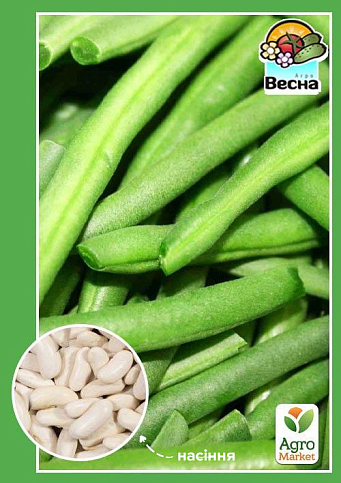 Квасоля спаржева "Зелена" ТМ "Весна" 2г