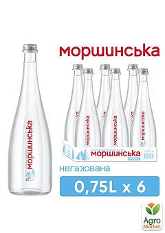 Минеральная вода Моршинская Премиум негазированная стеклянная бутылка 0,75л (упаковка 6шт) 1