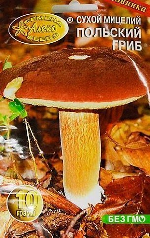 Сухий міцелій "Польський гриб" ТМ "Алекс SEEDS" 10г