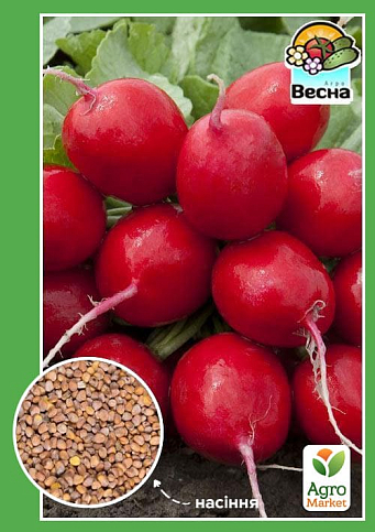 Редис "Гигант" ТМ "Весна" 2г