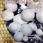 Шампиньон "Белый" ТМ "Поиск" 60мл