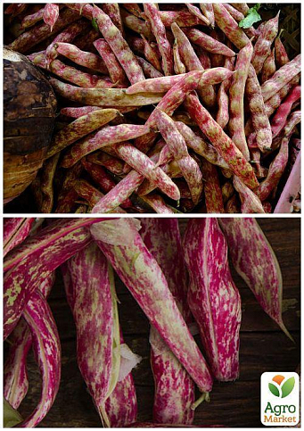 На развес Фасоль "Мраморная" ТМ "Весна" цена за 20г - фото 2