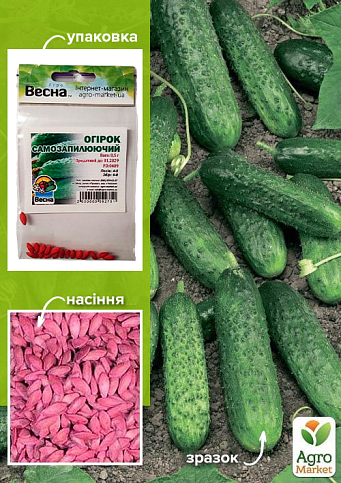 Огірок оброблений "Самозапильний" (Зипер) ТМ "Весна" 0.5г