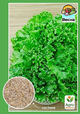 Салат "Одеський кучерявець" ТМ "Весна" 1.5г