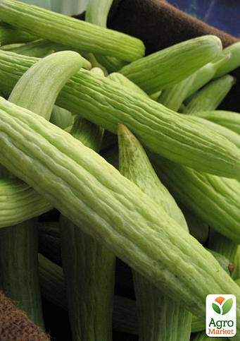 Дыня "Темно зеленый змей" ТМ "Vesna Select" 10шт