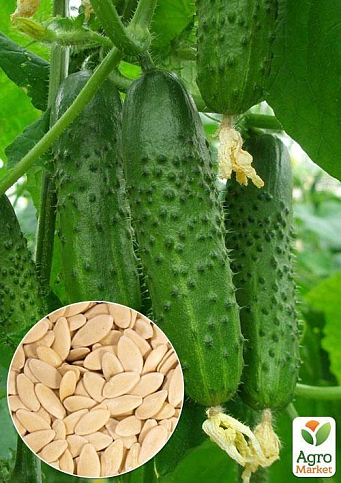 На вагу Огірок "Джерело" ТМ "Весна" ціна за 2г