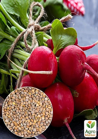 На развес Редис "Подснежник" ТМ "Весна" цена за 10г