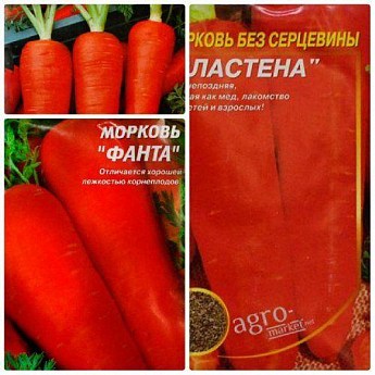 Комплект насіння моркви "Морквяне безумство" 5уп