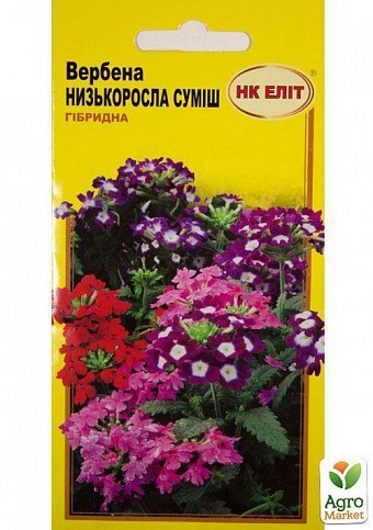 Вербена низкорослая  "Смесь" ТМ "НК ЭЛИТ" 0.1г