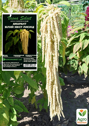 Амарант "Білий хвіст лисиці" ТМ "Vesna Select" 300шт