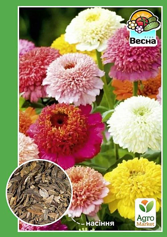 Цинния "Скабиозоцветная смесь" ТМ "Весна" 0.4г