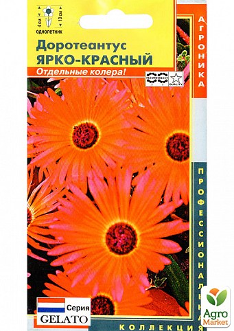 Доротеантус "Яскраво-червоний" ТМ "Плазмові насіння" 0,01г NEW