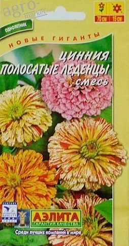 Цинія "Смугасті льодяники" ТМ "АЕЛІТА" 0.3г