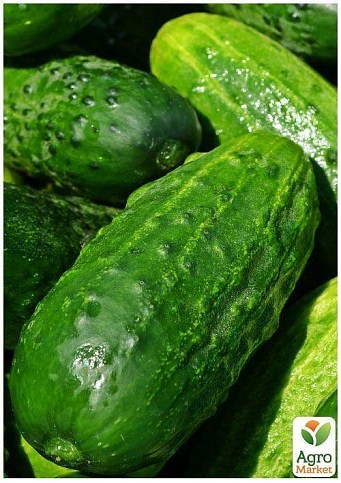 На развес Огурец обработанный "Гейм" ТМ "Весна" цена за 1г - фото 6
