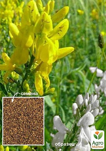 Буркун "Донник смесь" ТМ "Весна" 500г