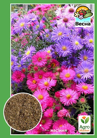 Айстра "Багаторічна" ТМ "Весна" 0.2г
